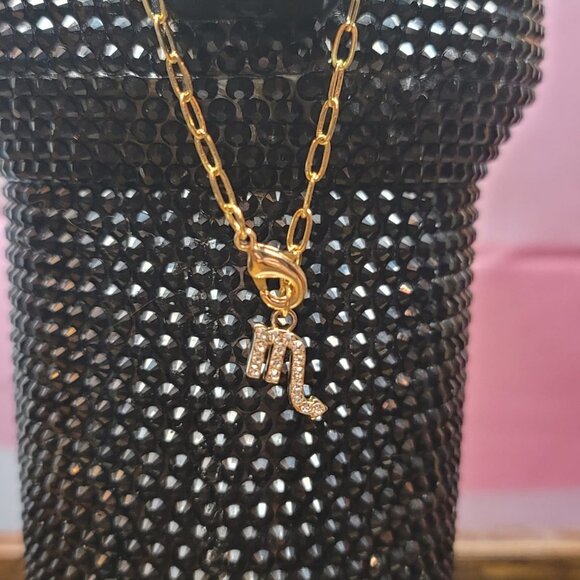 Scorpio Zodiac Tumbler Charm - Picture 3 of 4